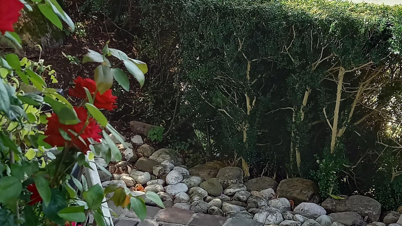Perspektive Perspektive